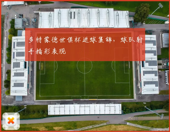 多特蒙德世俱杯进球集锦，球队射手精彩表现