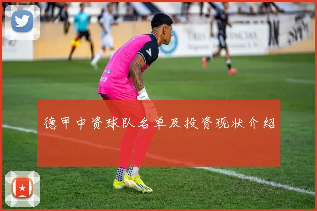 德甲中资球队名单及投资现状介绍