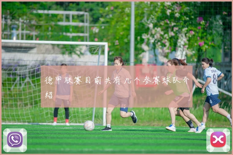 德甲联赛目前共有几个参赛球队介绍