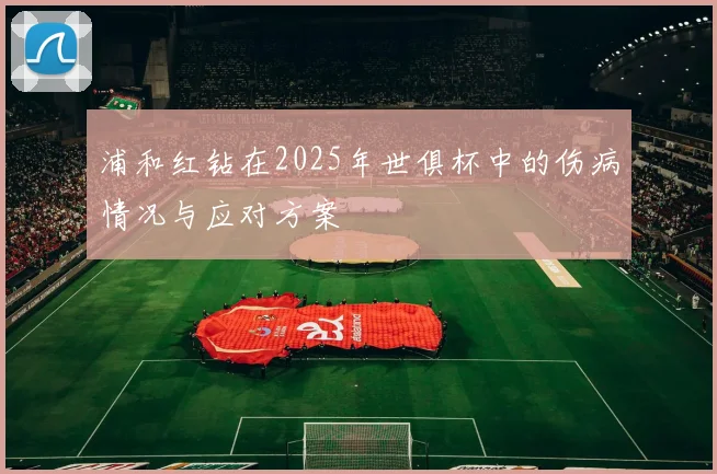 浦和红钻在2025年世俱杯中的伤病情况与应对方案