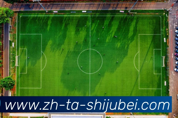 奖项证书