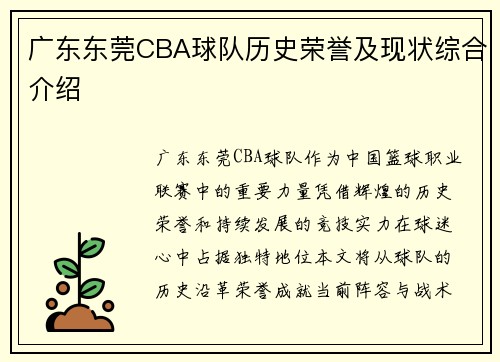 广东东莞CBA球队历史荣誉及现状综合介绍